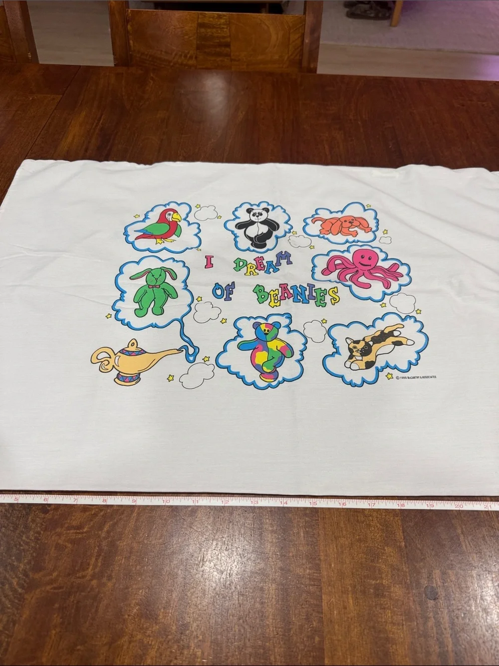Vintage 90s “I Dream of Beanie” Pillowcase with Beanie Babies